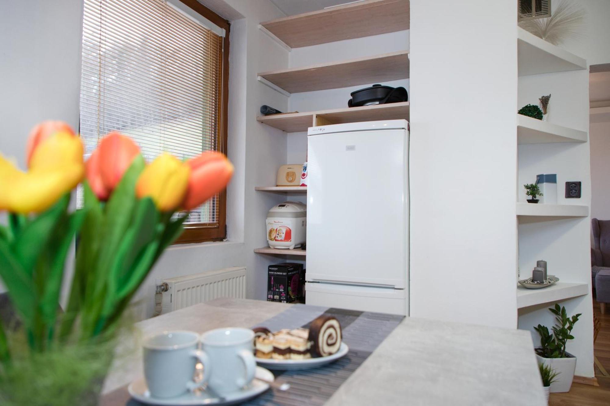 Apartman Ivka برزنو المظهر الخارجي الصورة