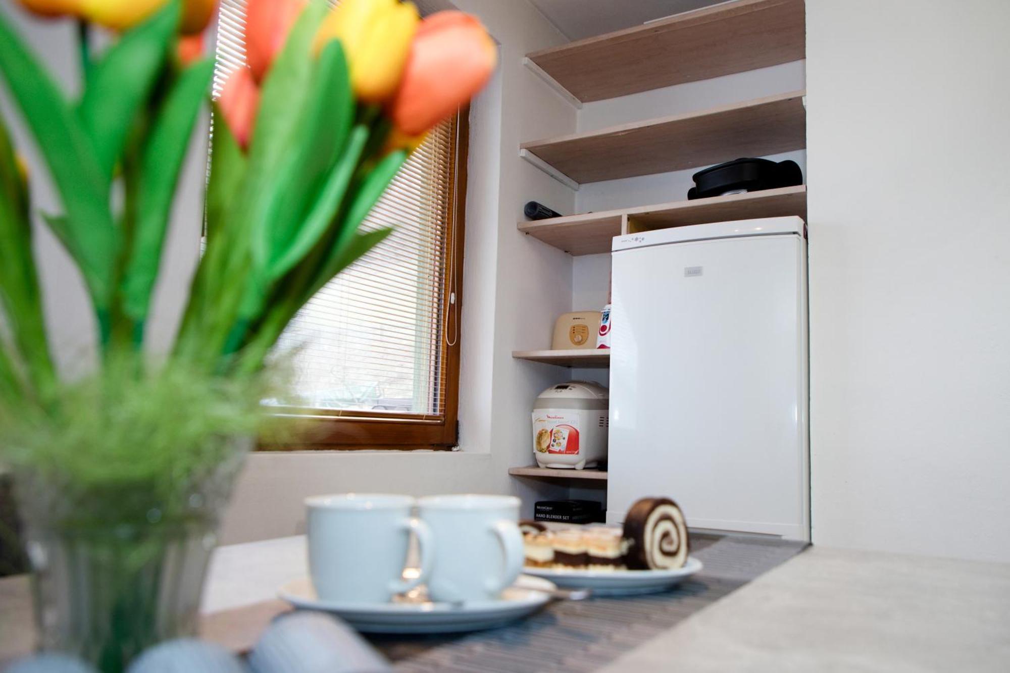 Apartman Ivka برزنو المظهر الخارجي الصورة